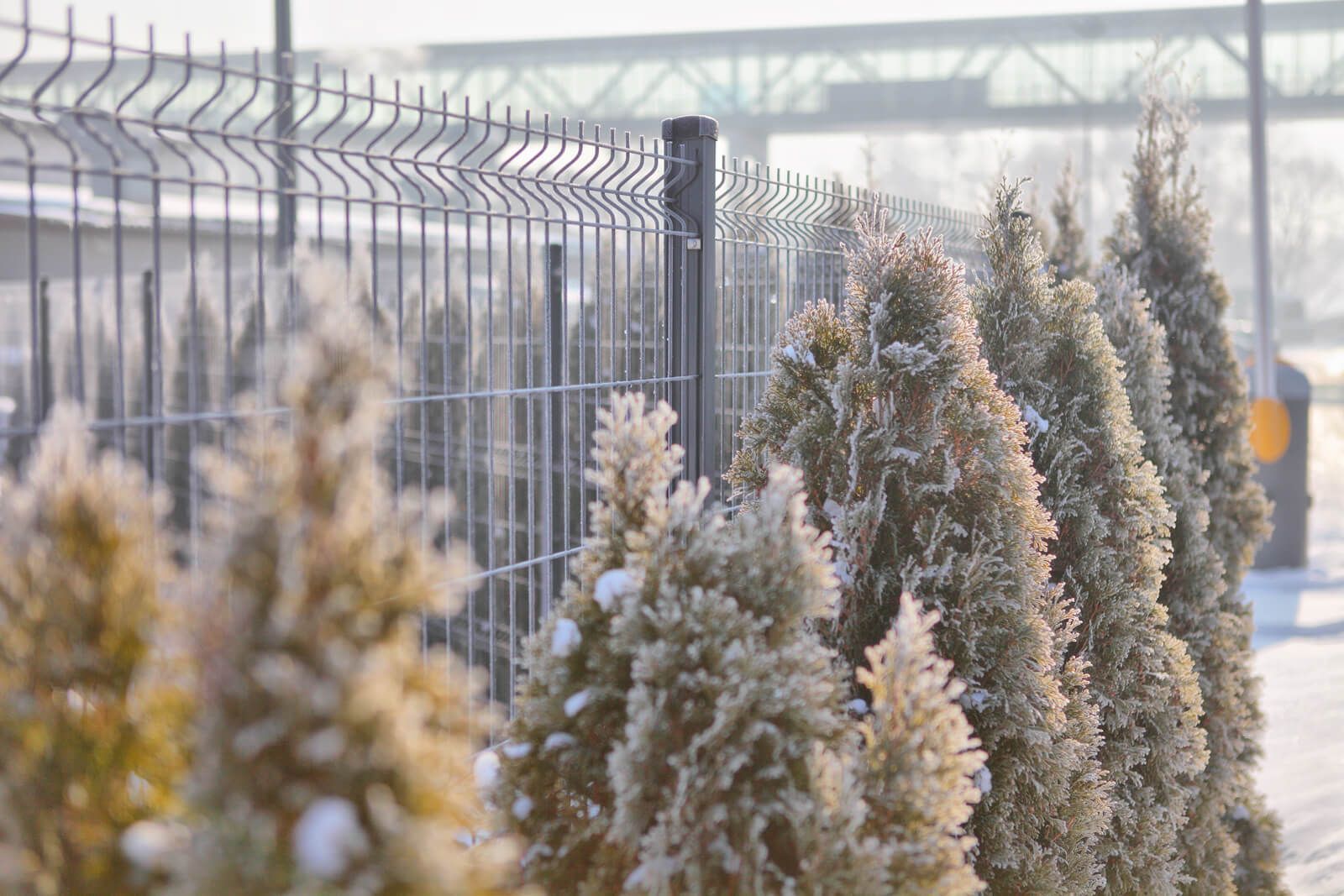 Kiedy wybrać ogrodzenia panelowe 2D, a kiedy 3D?